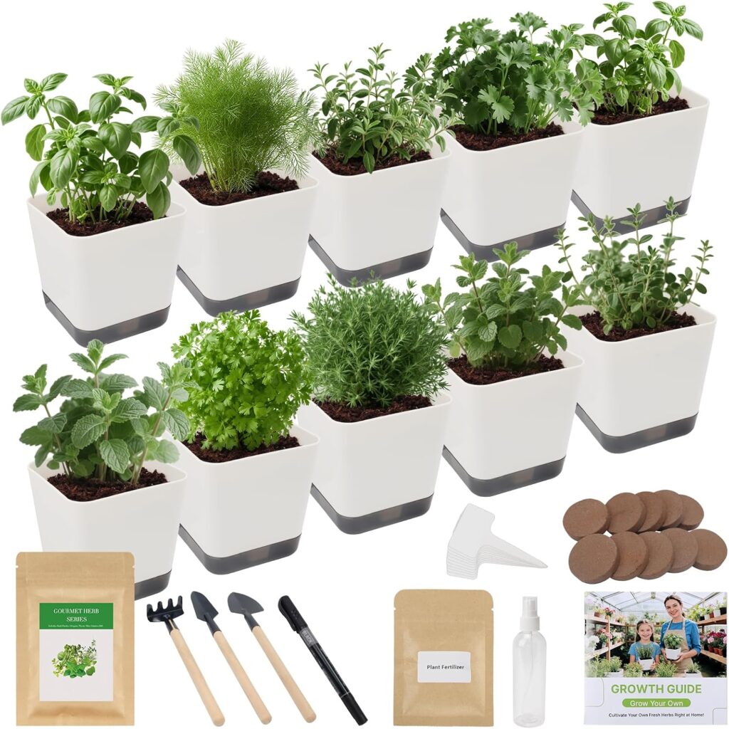 10-Piece Indoor Herb Garden Starter Kit – Includes 7 Seed Varieties: Basil, Parsley, Thyme, Mint, Cilantro, and Dill