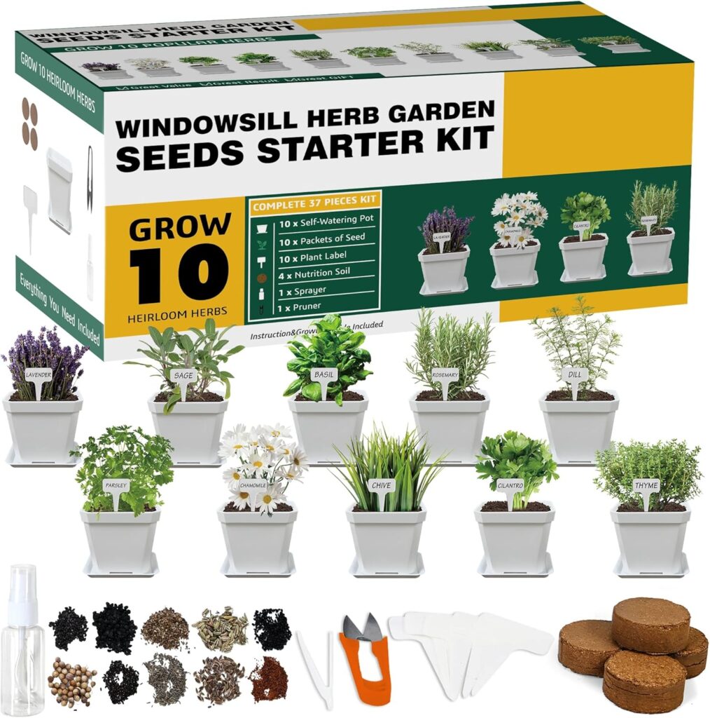 Herb growing kit, 10 herb seeds, garden starter kit